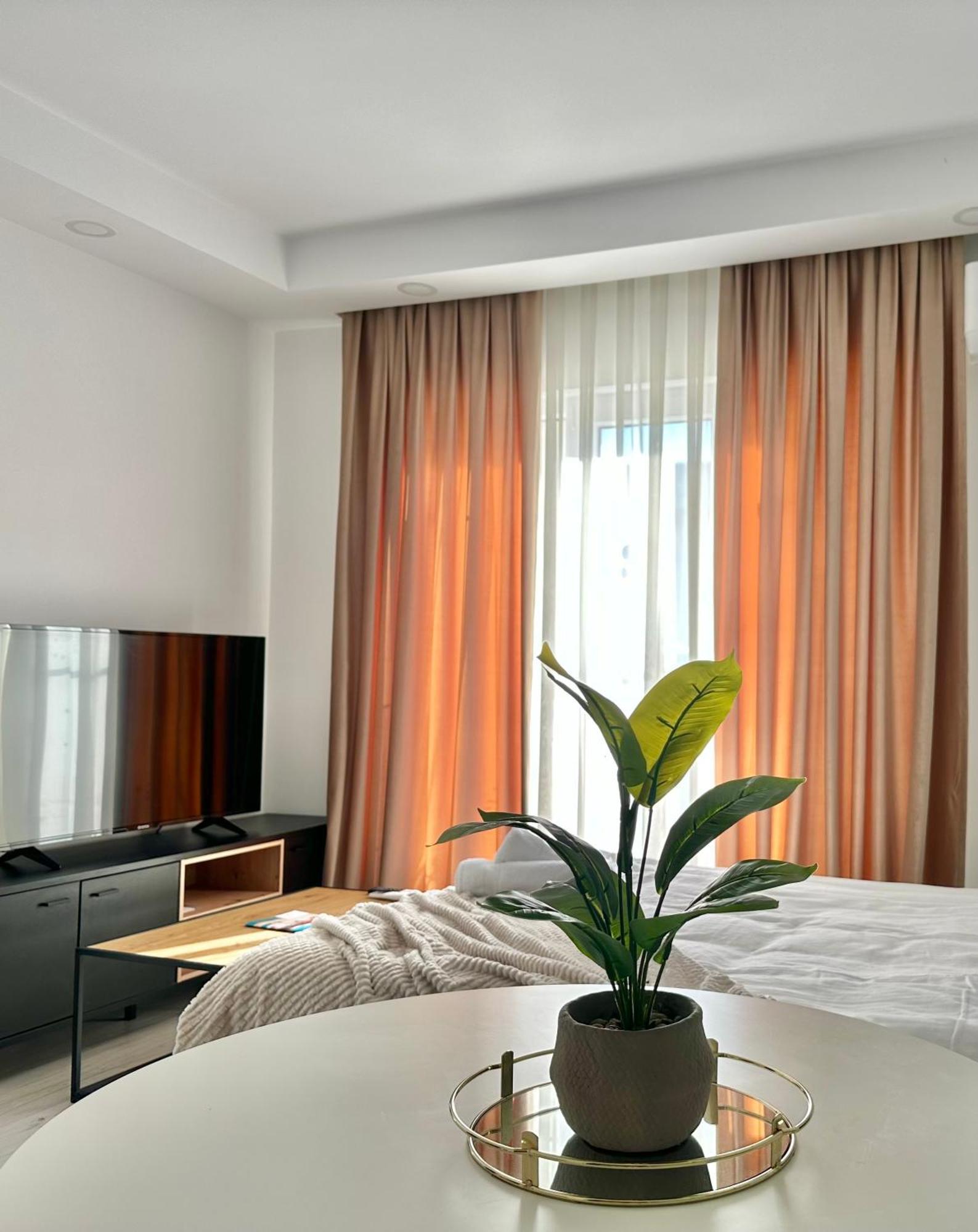 Single Room A503 Stayinn By Cosmopolis Stefanestii de Jos 外观 照片